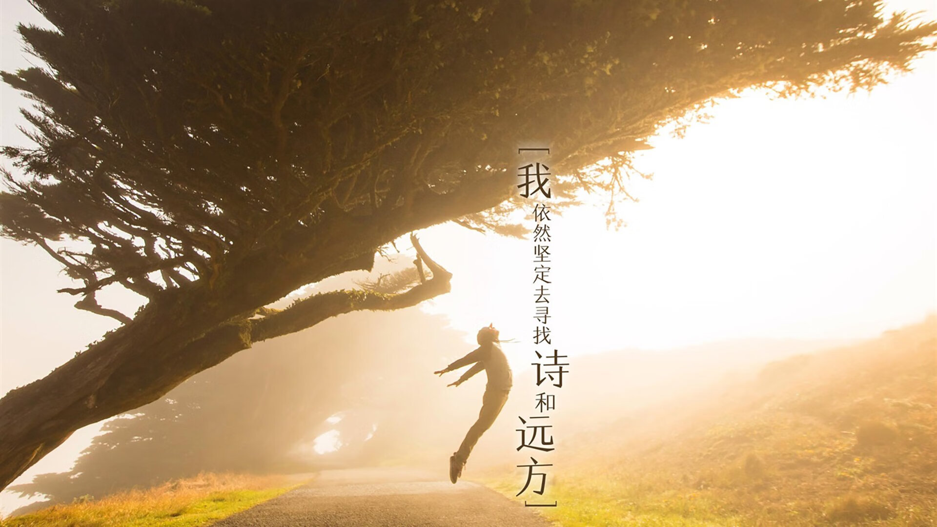 九游娱乐(jiuyou)官网-游戏测试流程的完善：质量保证与用户体验，游戏测试流程图