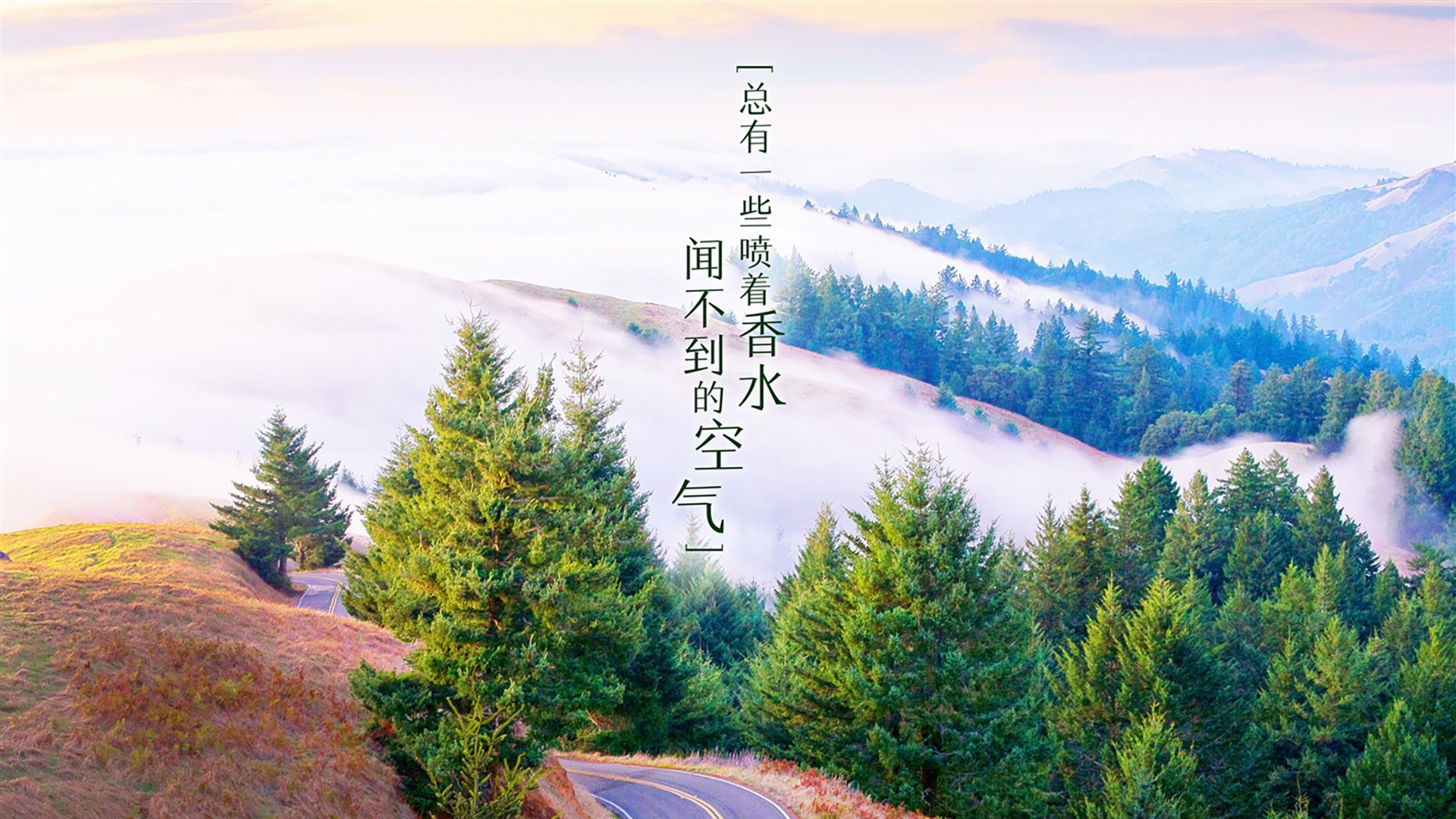 高校足球赛规模扩大，培养专业足球人才路线逐步明确，高校足球比赛