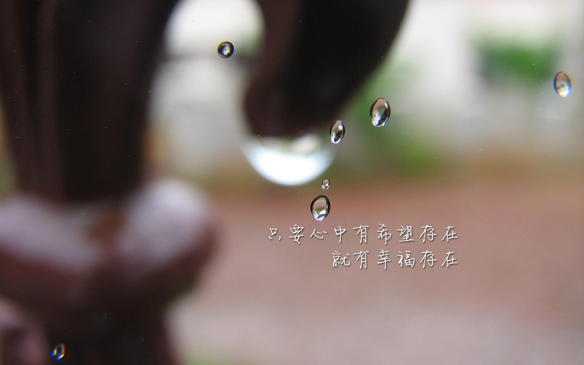 仰泳赛场韩国选手步伐稳健,仰泳比赛视频