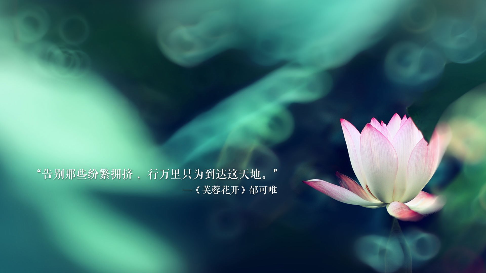 吉尔吉斯斯坦男篮在国际比赛中不断突破,逐渐崭露头角