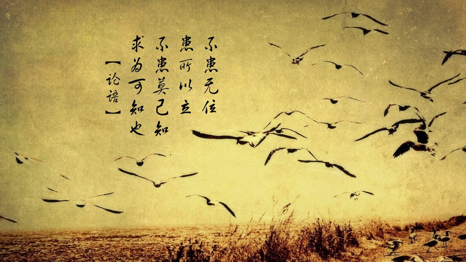 英超竞争异常激烈，豪门纷纷发力