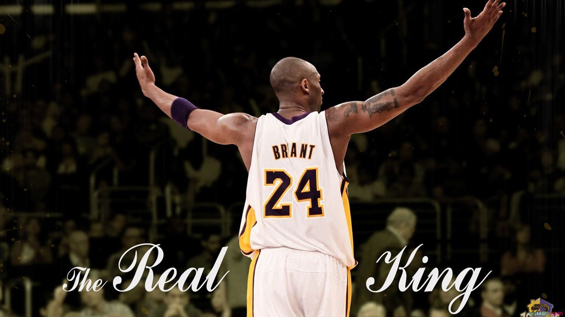 潜力无限：未来“超级巨星”的成长轨迹揭秘，未来巨星是什么意思